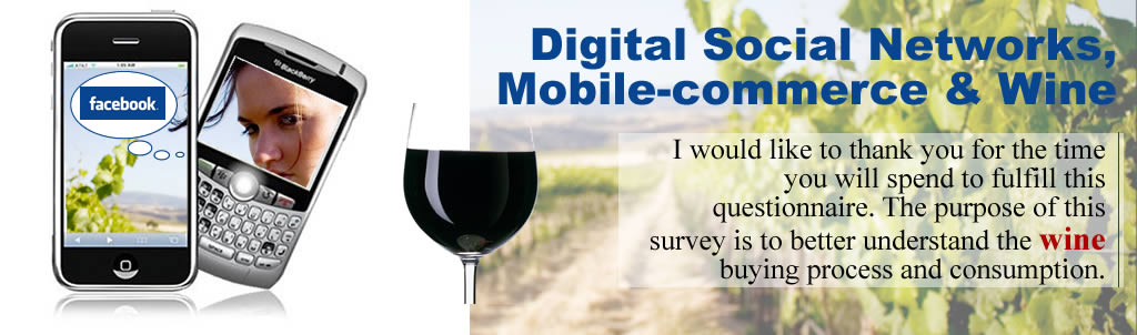Access to questionnaire